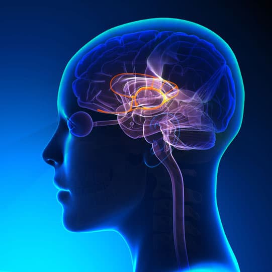 auditory brainstem response evaluation